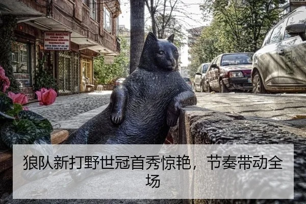 lang-dui-xin-da-ye-shi-guan-shou-xiu-jing-yan-jie-zou-dai-dong-quan-chang-3-288.jpg