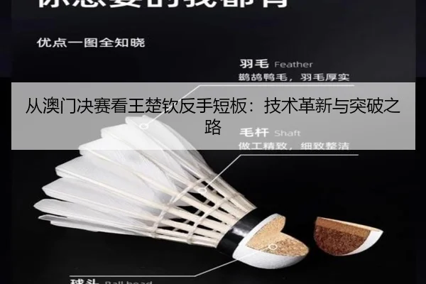 cong-ao-men-jue-sai-kan-wang-chu-qin-fan-shou-duan-ban-ji-shu-ge-xin-yu-tu-po-zhi-lu-3-213.jpg